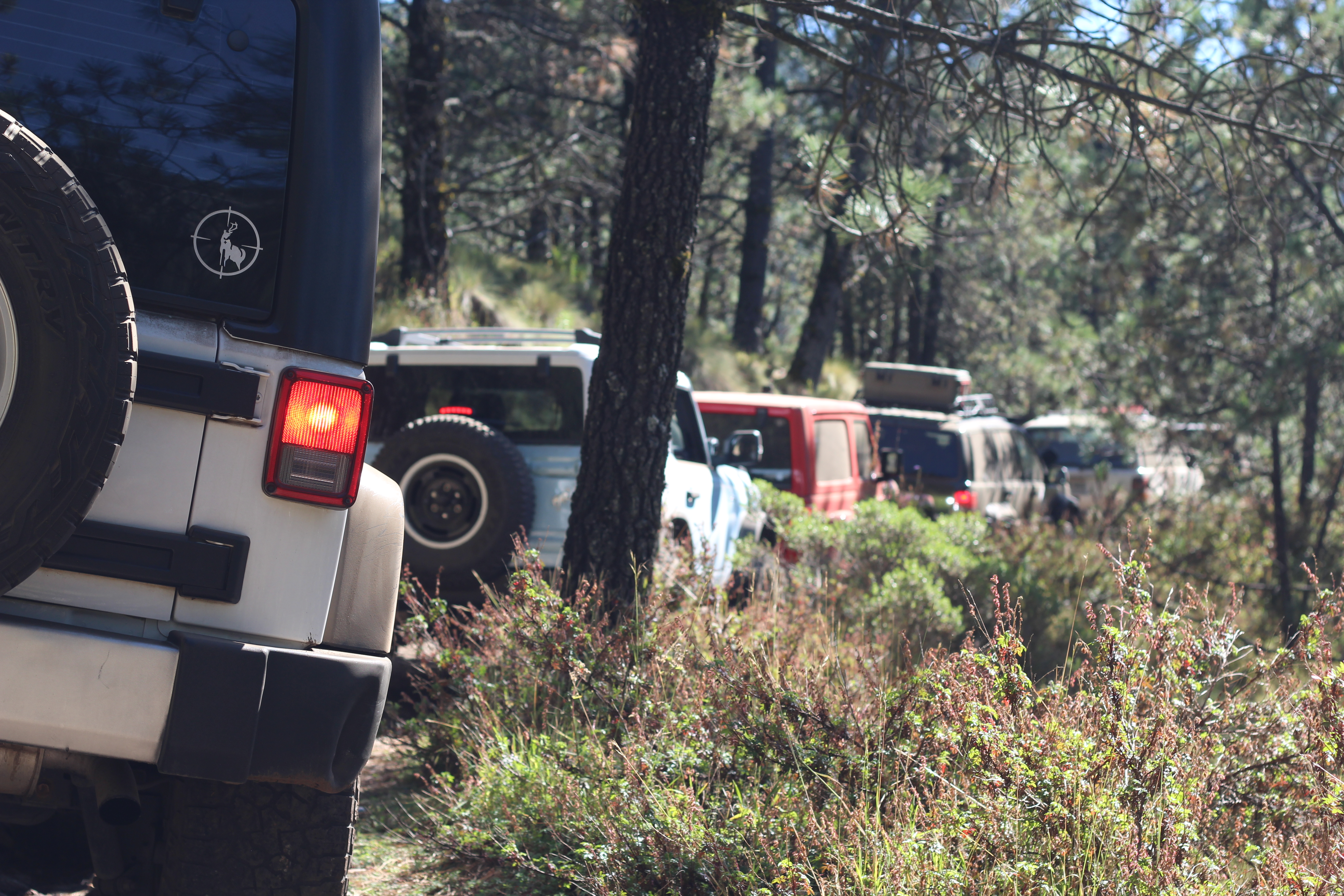 Fotografía de Ruta del Sendero I